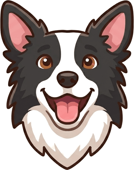 Friendly border collie ready for pet sitting care