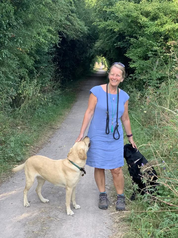Een oppas op een groen pad met een blonde en een zwarte labrador